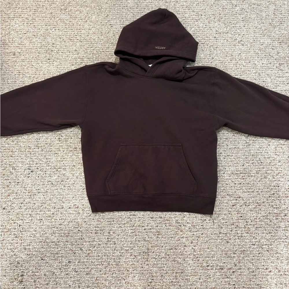 Aritzia COZY SWEATFLEECE PERFECT HOODIE